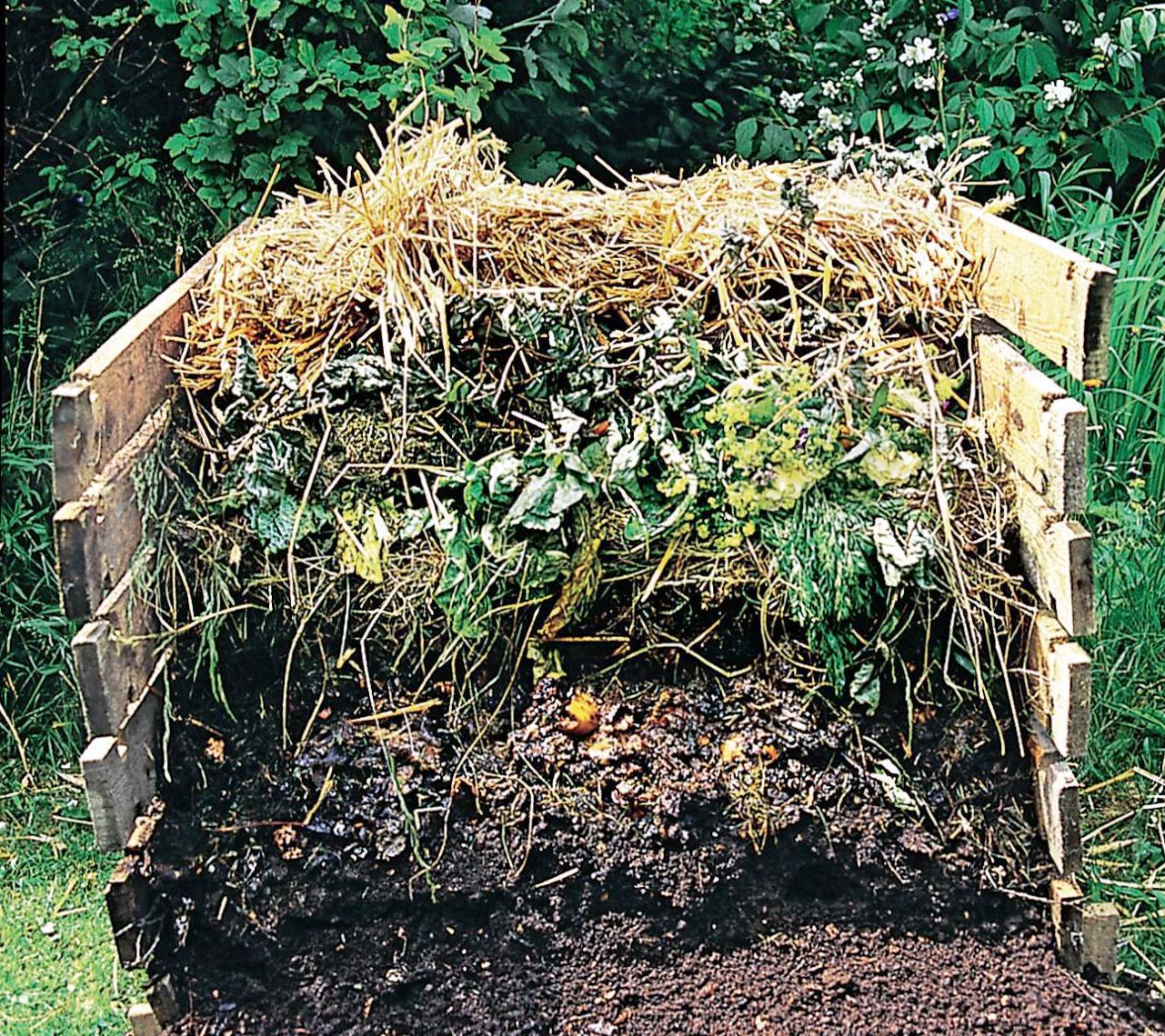 kompost2